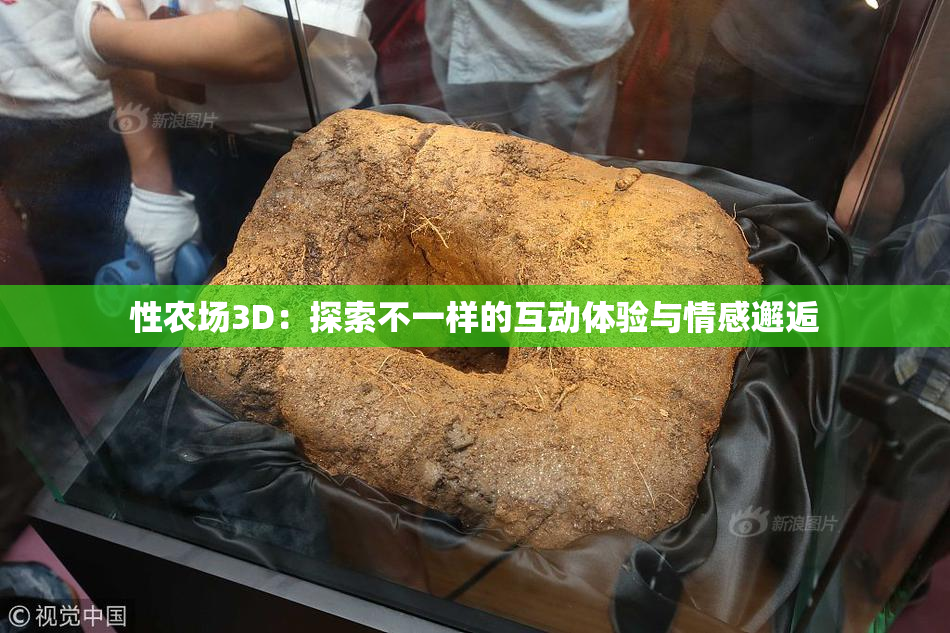 性农场3D：探索不一样的互动体验与情感邂逅