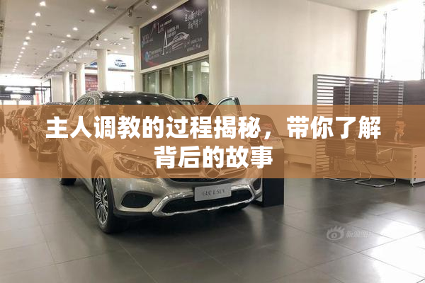 主人调教的过程揭秘，带你了解背后的故事