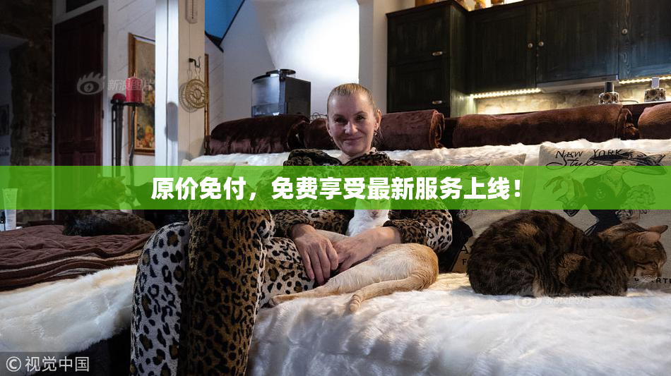 原价免付，免费享受最新服务上线！