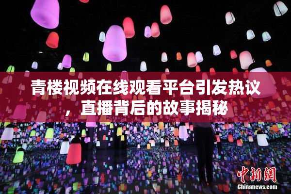 青楼视频在线观看平台引发热议，直播背后的故事揭秘