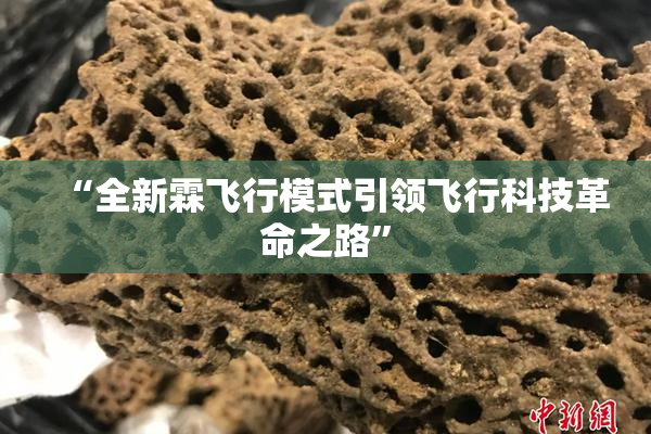 “全新霖飞行模式引领飞行科技革命之路”