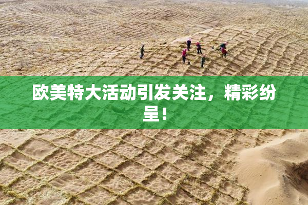 欧美特大活动引发关注，精彩纷呈！
