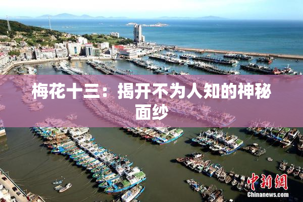 梅花十三：揭开不为人知的神秘面纱