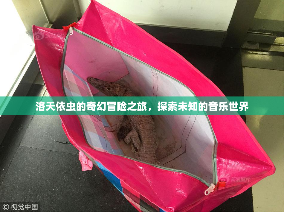洛天依虫的奇幻冒险之旅，探索未知的音乐世界