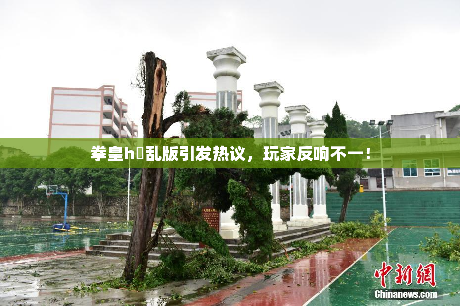 拳皇h婬乱版引发热议，玩家反响不一！