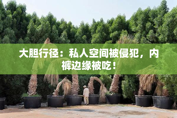 大胆行径：私人空间被侵犯，内裤边缘被吃！