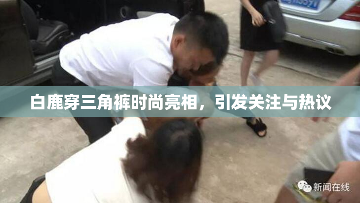 白鹿穿三角裤时尚亮相，引发关注与热议