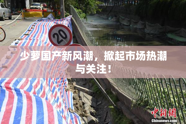 少萝国产新风潮，掀起市场热潮与关注！