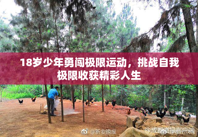 18岁少年勇闯极限运动，挑战自我极限收获精彩人生