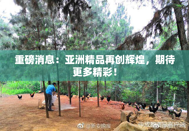 重磅消息：亚洲精品再创辉煌，期待更多精彩！