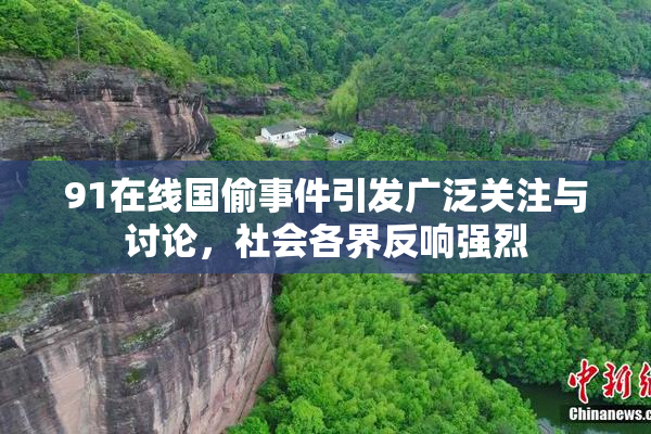 91在线国偷事件引发广泛关注与讨论，社会各界反响强烈