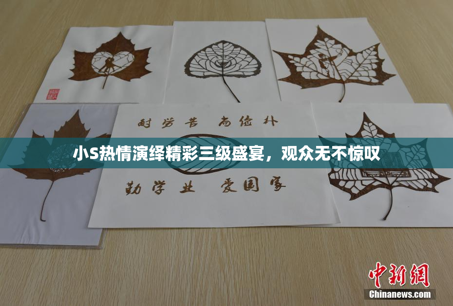 小S热情演绎精彩三级盛宴，观众无不惊叹