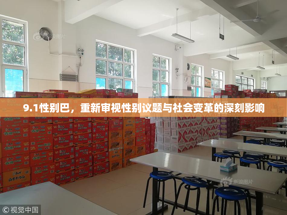 9.1性别巴，重新审视性别议题与社会变革的深刻影响