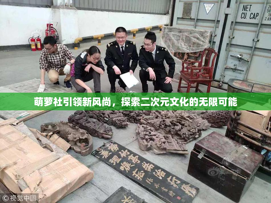 萌萝社引领新风尚，探索二次元文化的无限可能