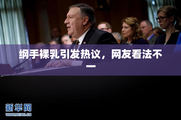 纲手裸乳引发热议，网友看法不一
