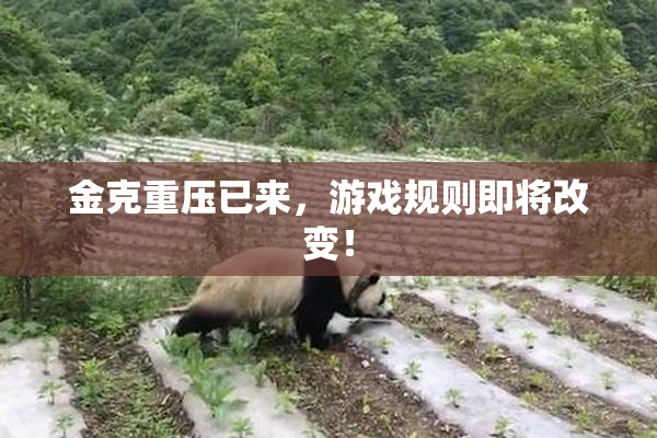 金克重压已来，游戏规则即将改变！