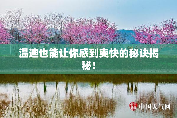 温迪也能让你感到爽快的秘诀揭秘！
