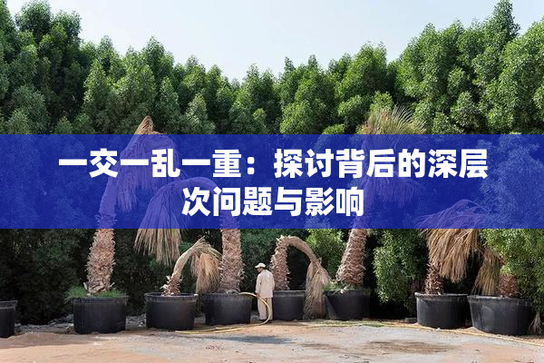 一交一乱一重：探讨背后的深层次问题与影响