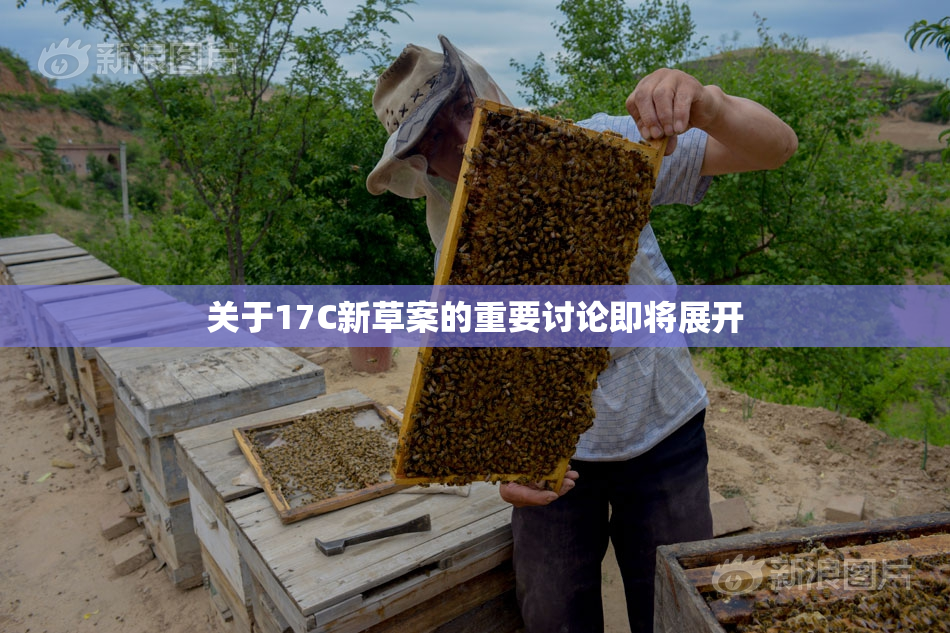 关于17C新草案的重要讨论即将展开