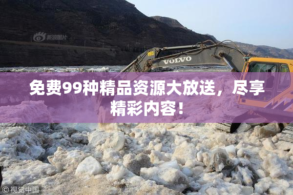 免费99种精品资源大放送，尽享精彩内容！