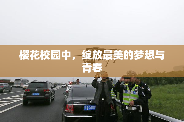樱花校园中，绽放最美的梦想与青春