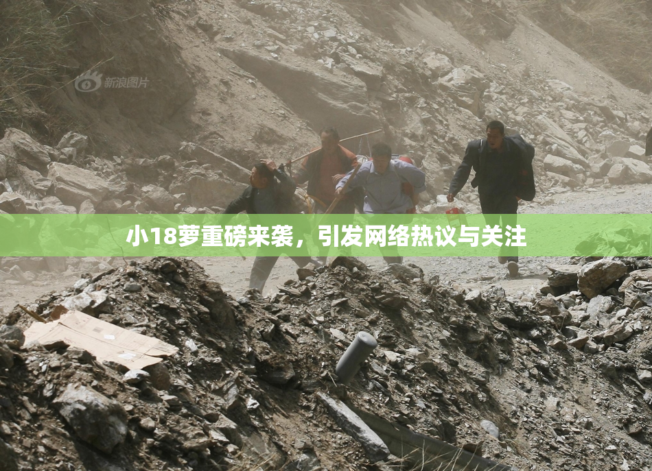 小18萝重磅来袭，引发网络热议与关注