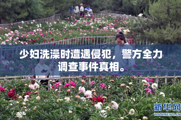 少妇洗澡时遭遇侵犯，警方全力调查事件真相。