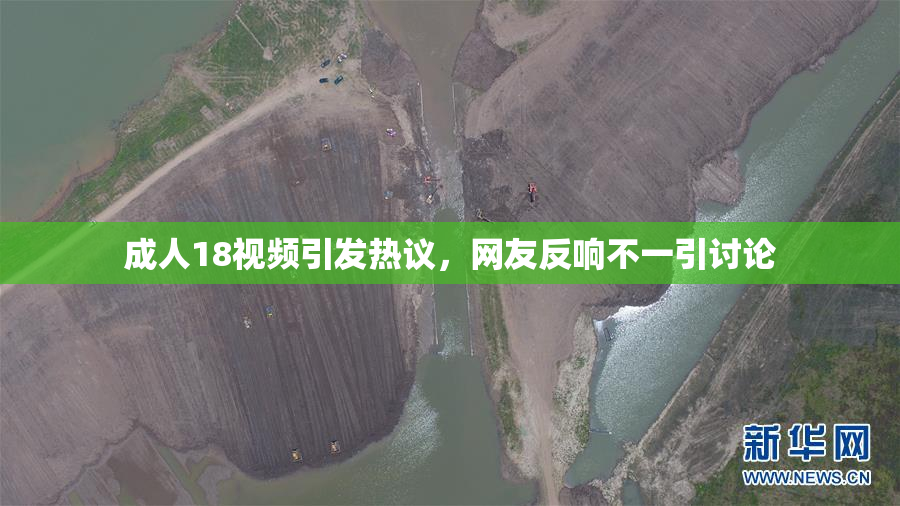 成人18视频引发热议，网友反响不一引讨论