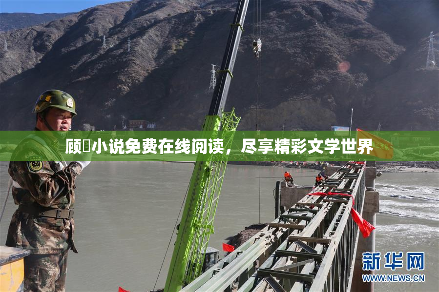 顾嫚小说免费在线阅读，尽享精彩文学世界
