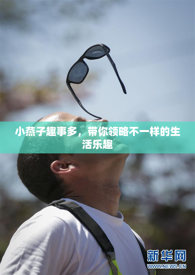 小燕子趣事多，带你领略不一样的生活乐趣