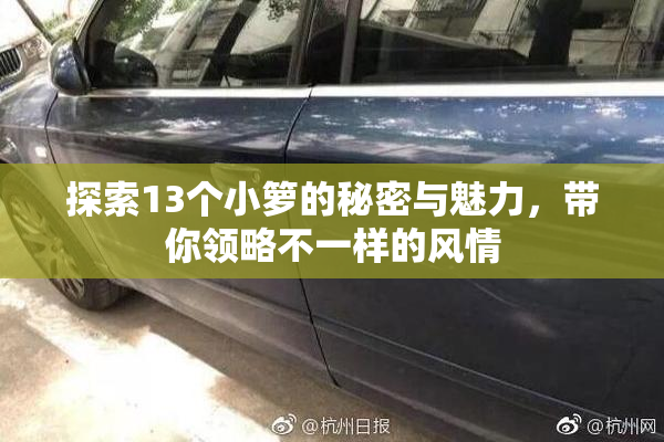 探索13个小箩的秘密与魅力，带你领略不一样的风情