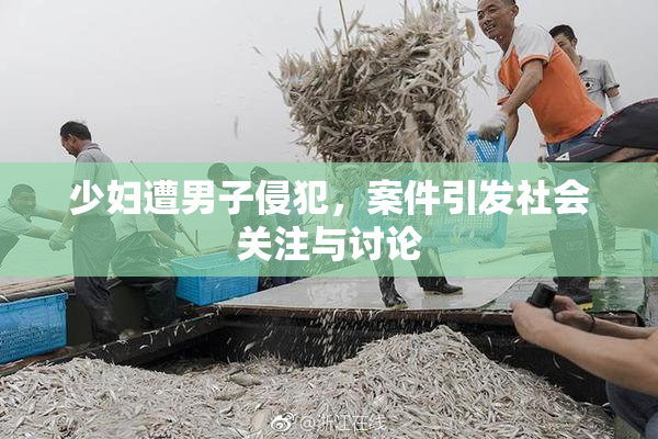 少妇遭男子侵犯，案件引发社会关注与讨论