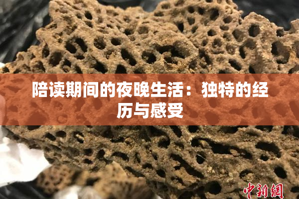 陪读期间的夜晚生活：独特的经历与感受