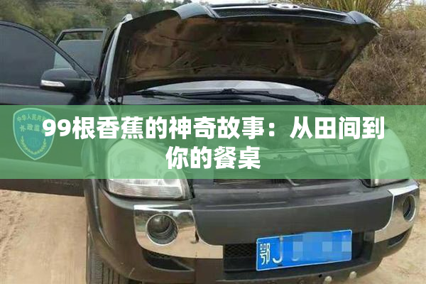 99根香蕉的神奇故事：从田间到你的餐桌