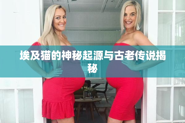 埃及猫的神秘起源与古老传说揭秘