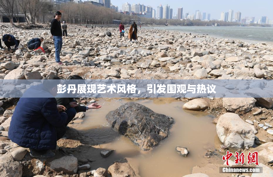 彭丹展现艺术风格，引发围观与热议