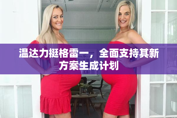 温达力挺格雷一，全面支持其新方案生成计划