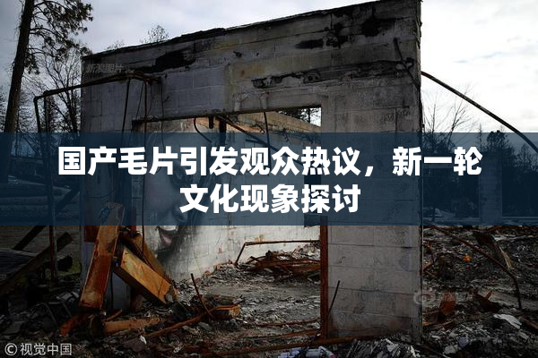 国产毛片引发观众热议，新一轮文化现象探讨