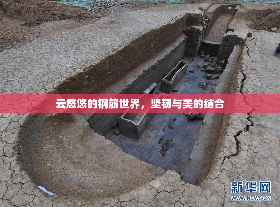 云悠悠的钢筋世界，坚韧与美的结合