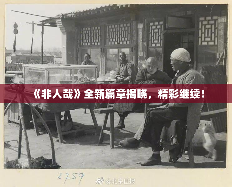 《非人哉》全新篇章揭晓，精彩继续！