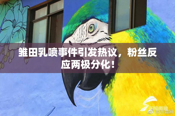 雏田乳喷事件引发热议，粉丝反应两极分化！