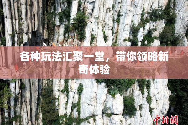 各种玩法汇聚一堂，带你领略新奇体验