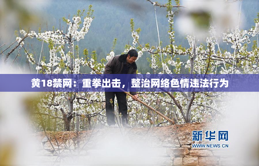 黄18禁网：重拳出击，整治网络色情违法行为