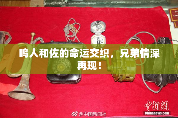 鸣人和佐的命运交织，兄弟情深再现！