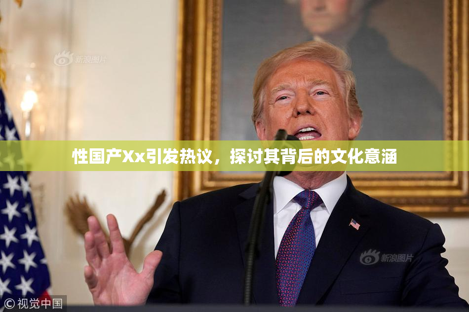 性国产Xx引发热议，探讨其背后的文化意涵