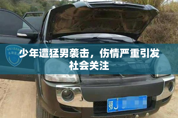 少年遭猛男袭击，伤情严重引发社会关注