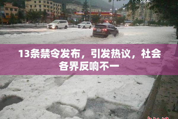13条禁令发布，引发热议，社会各界反响不一
