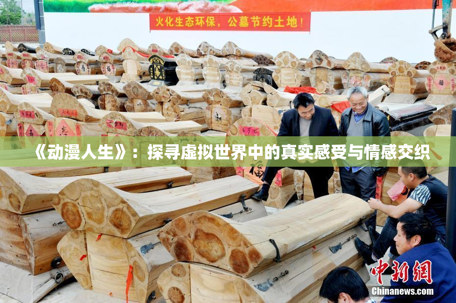 《动漫人生》：探寻虚拟世界中的真实感受与情感交织