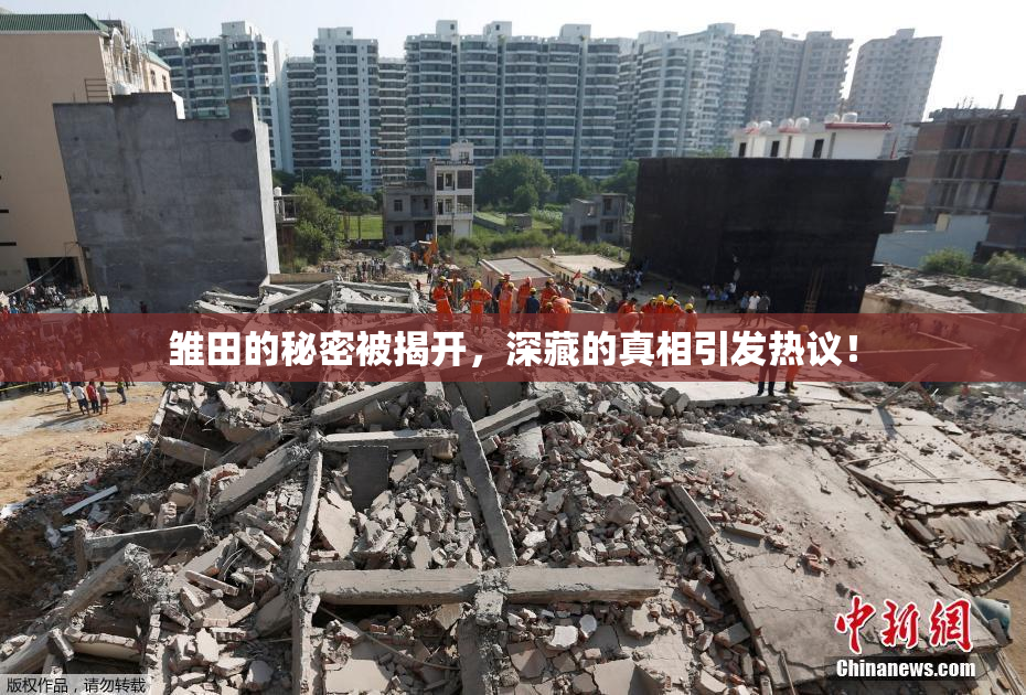 雏田的秘密被揭开，深藏的真相引发热议！