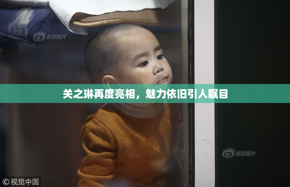 关之琳再度亮相，魅力依旧引人瞩目